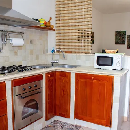 Euforbia * San Vito Lo Capo